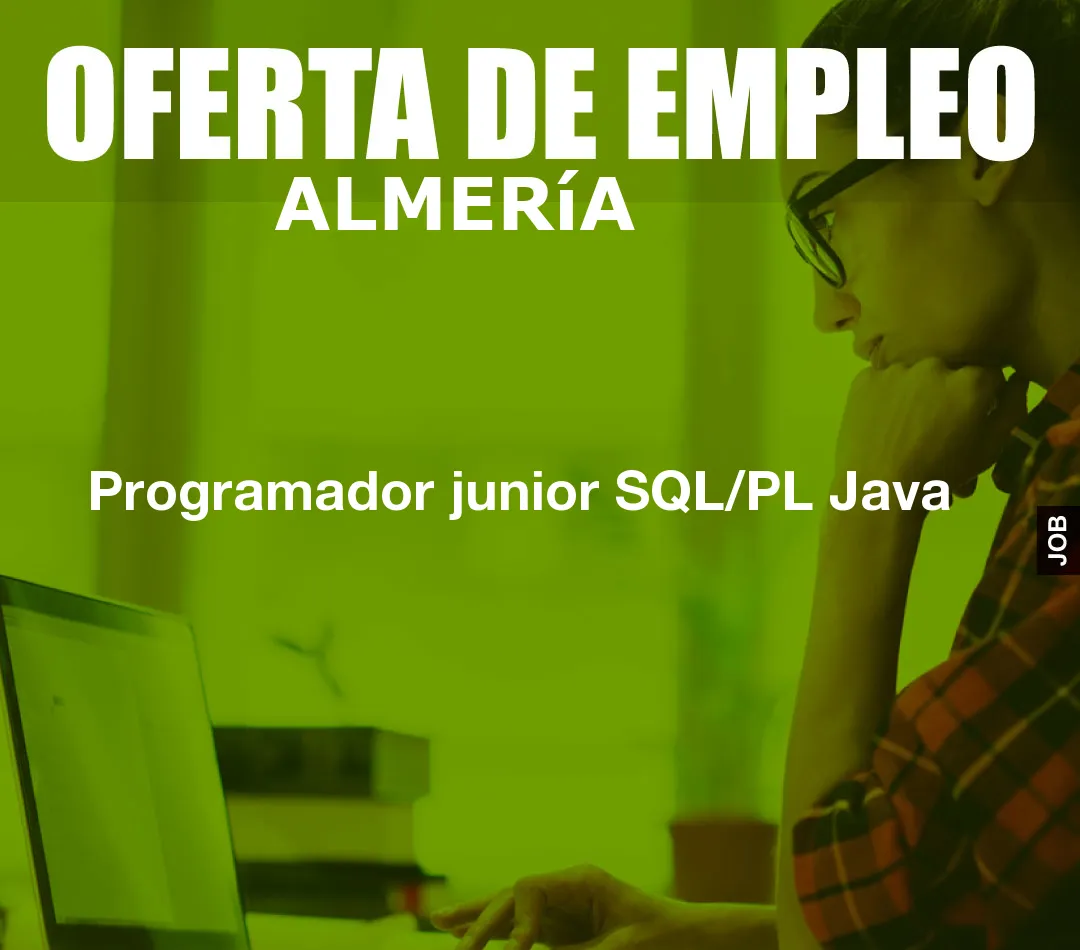 Programador junior SQL/PL Java