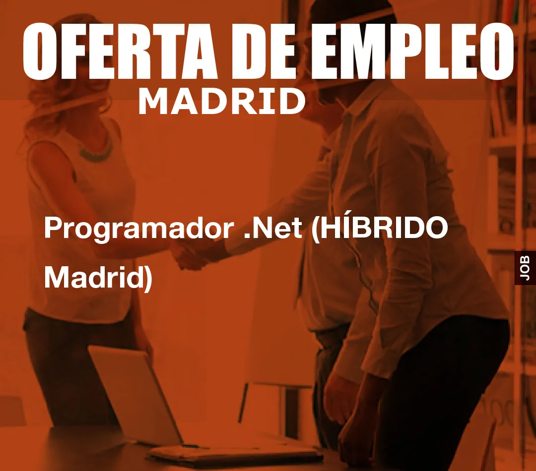Programador .Net (HÍBRIDO Madrid)