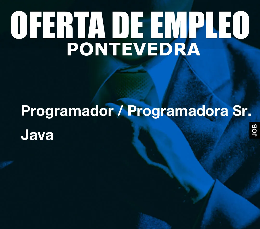 Programador / Programadora Sr. Java