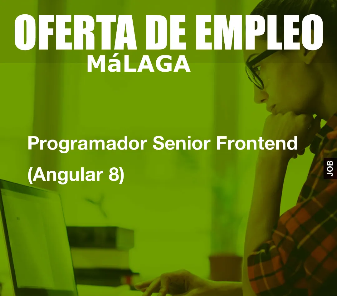 Programador Senior Frontend (Angular 8)