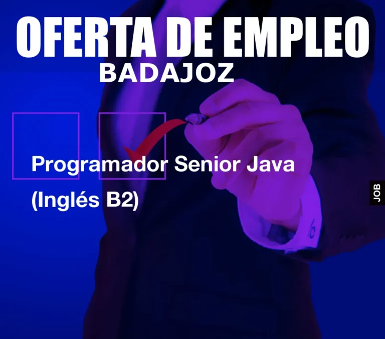 Programador Senior Java (Inglés B2)
