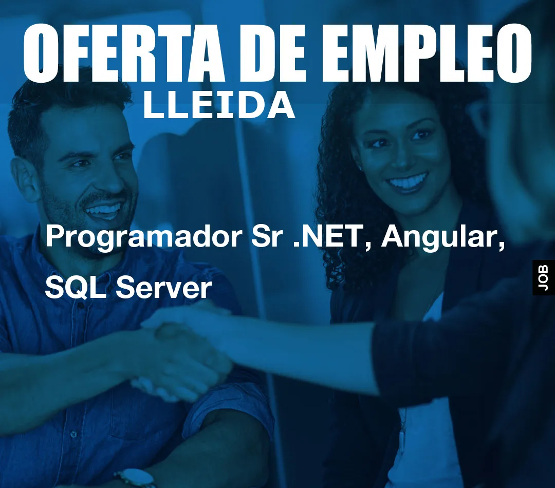 Programador Sr .NET, Angular, SQL Server