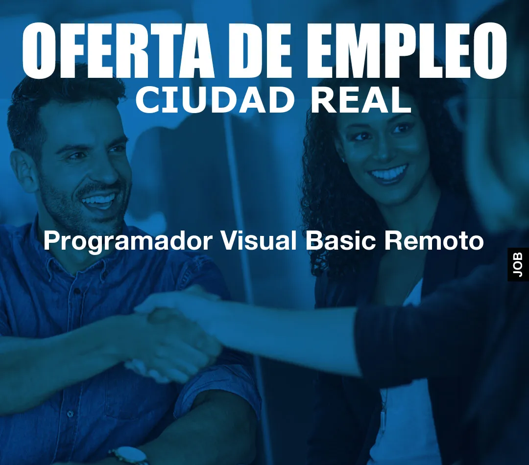 Programador Visual Basic Remoto
