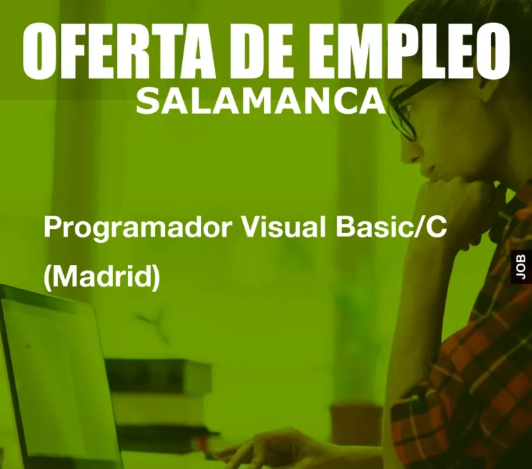 Programador Visual Basic/C (Madrid)