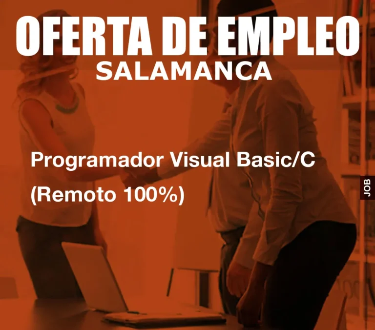 Programador Visual Basic/C (Remoto 100%)