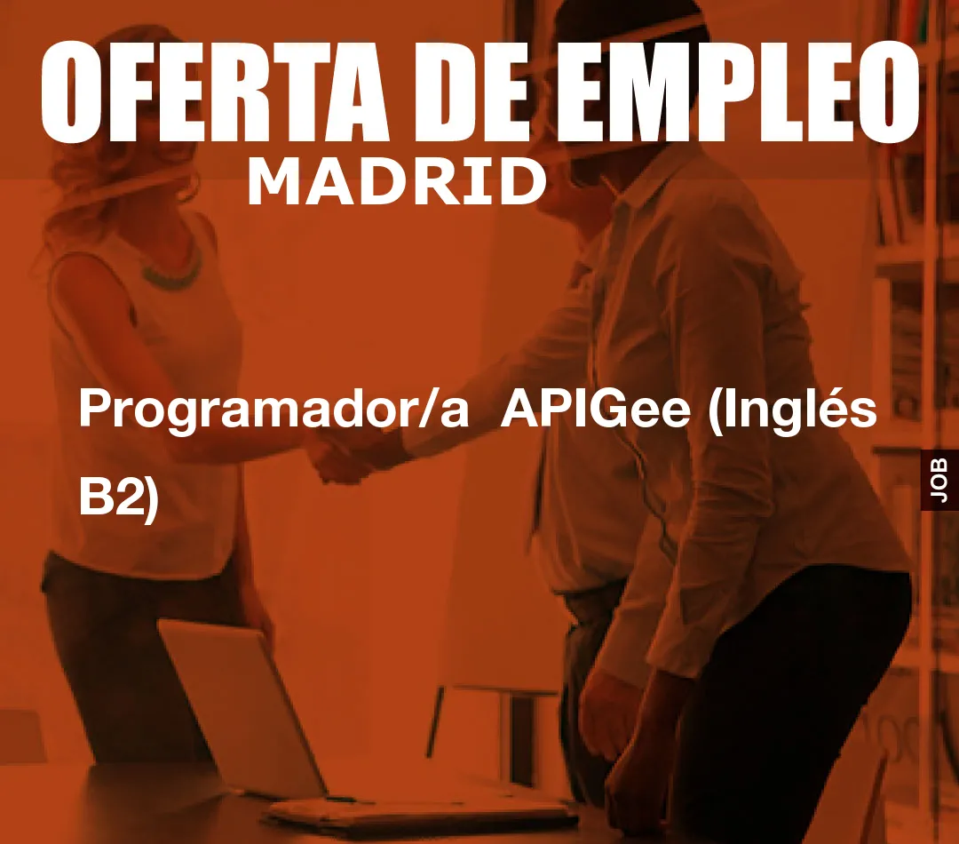 Programador/a  APIGee (Inglés B2)