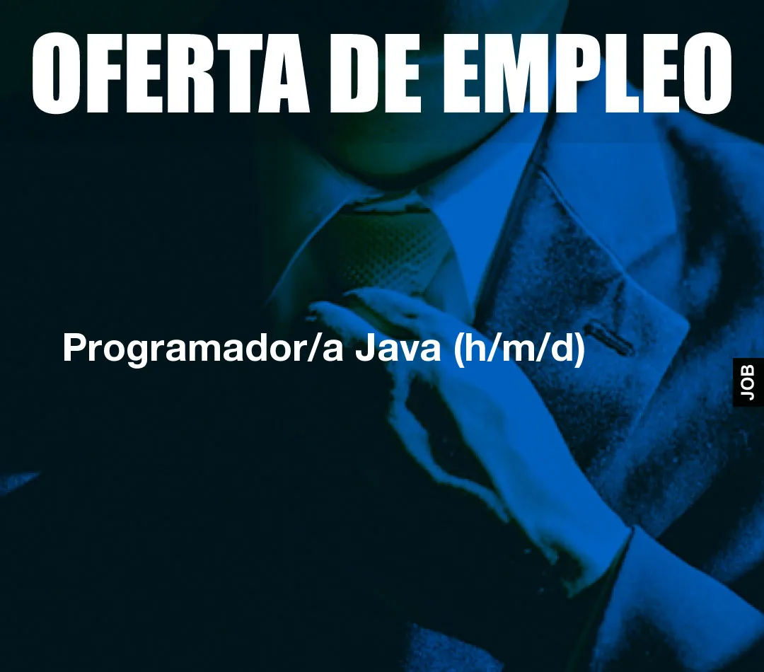 Programador/a Java (h/m/d)