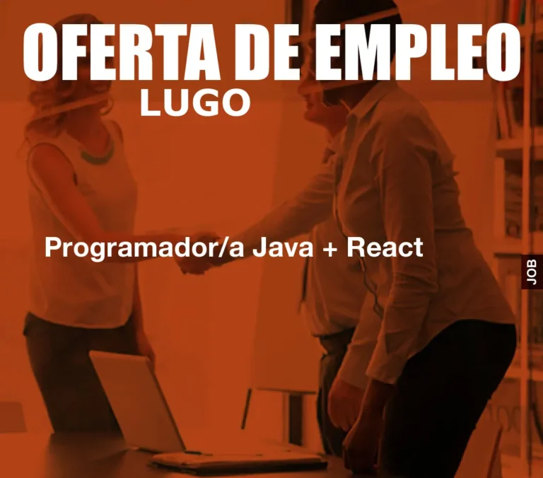 Programador/a Java + React