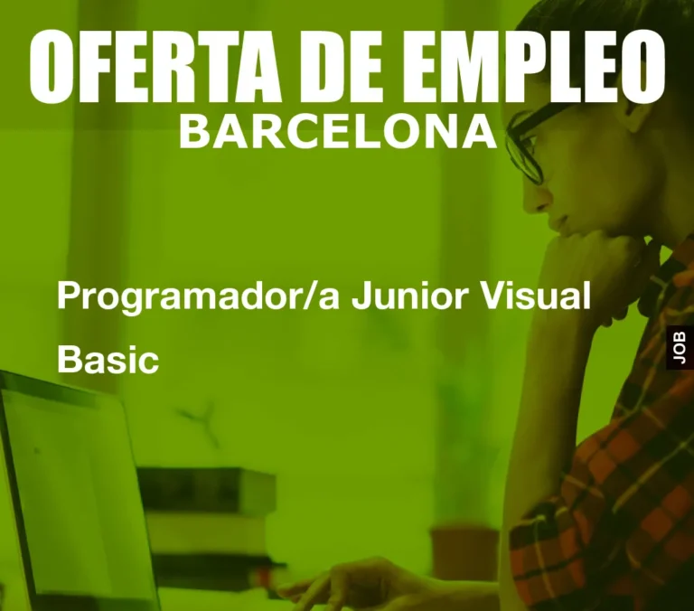 Programador/a Junior Visual Basic