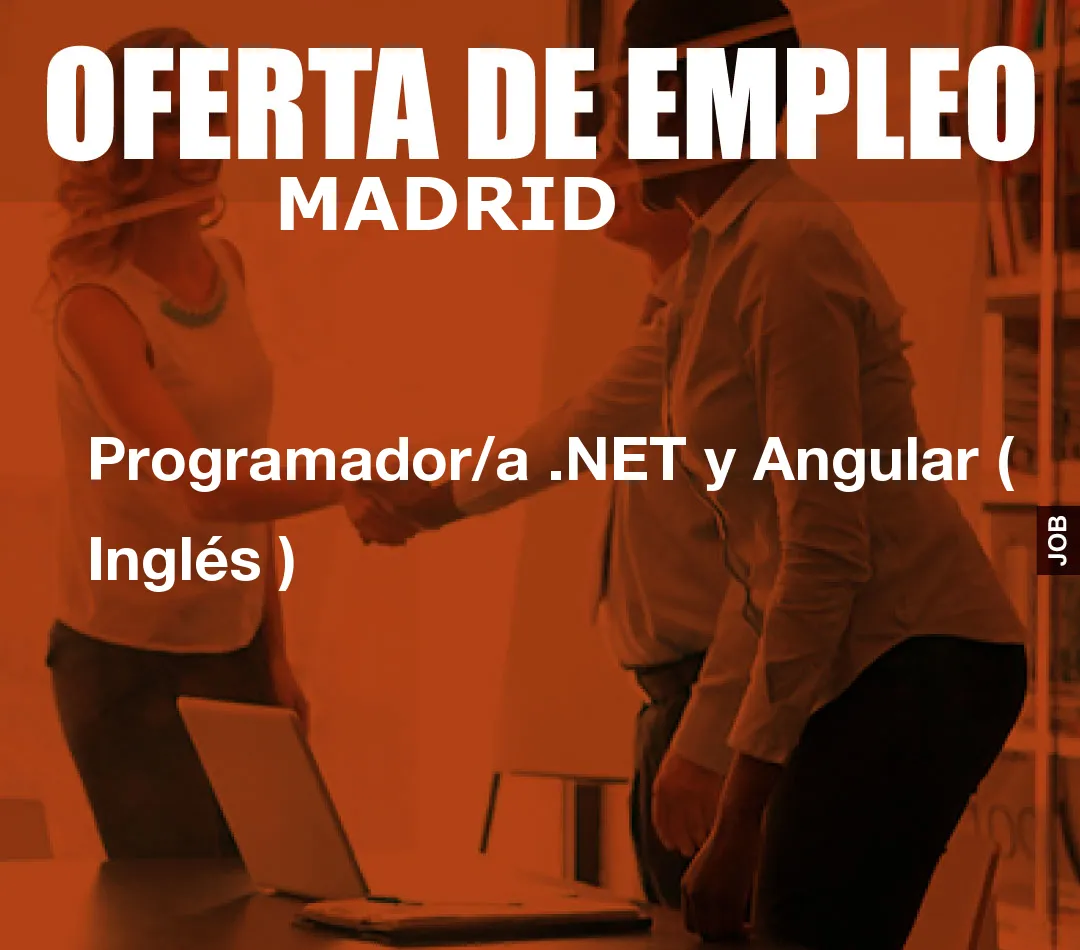 Programador/a .NET y Angular ( Inglés )