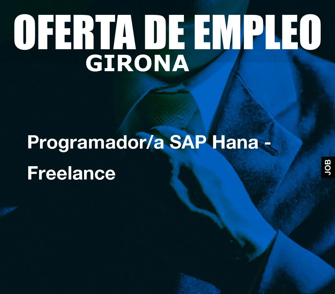 Programador/a SAP Hana – Freelance