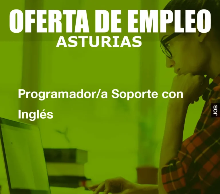 Programador/a Soporte con Inglés