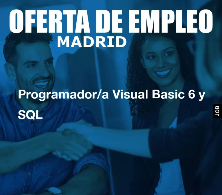 Programador/a Visual Basic 6 y SQL
