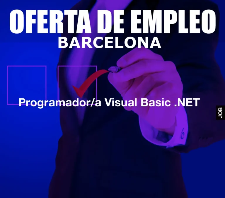 Programador/a Visual Basic .NET