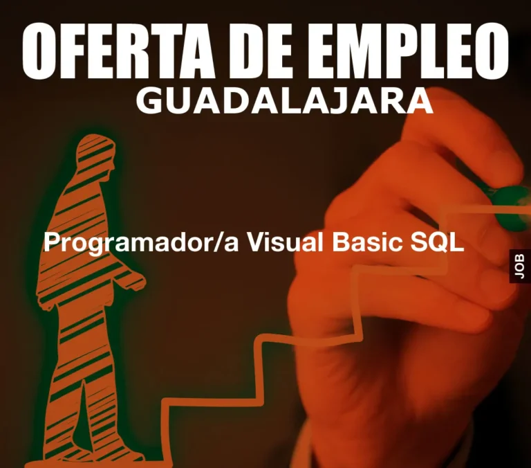 Programador/a Visual Basic SQL