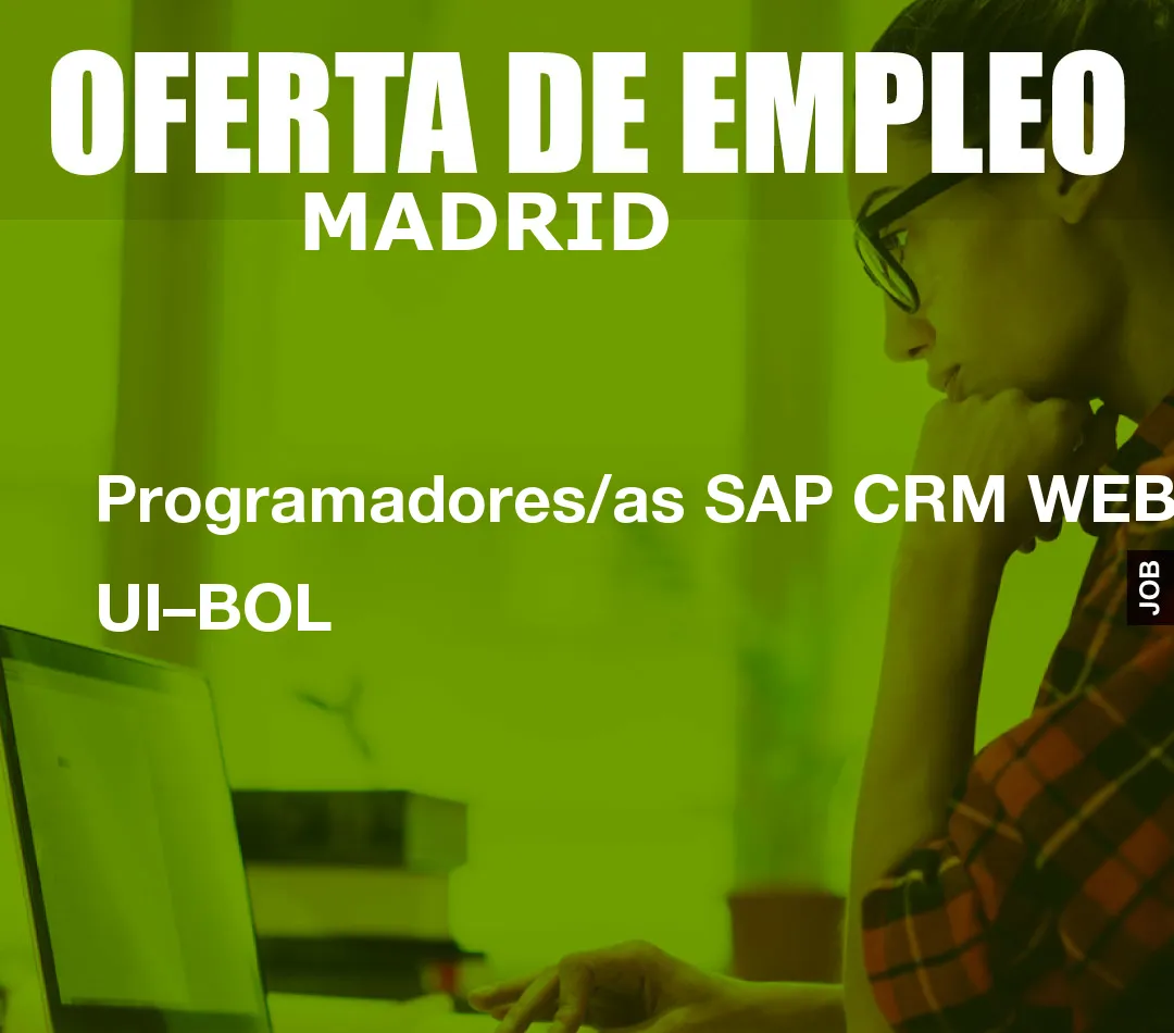Programadores/as SAP CRM WEB UI–BOL