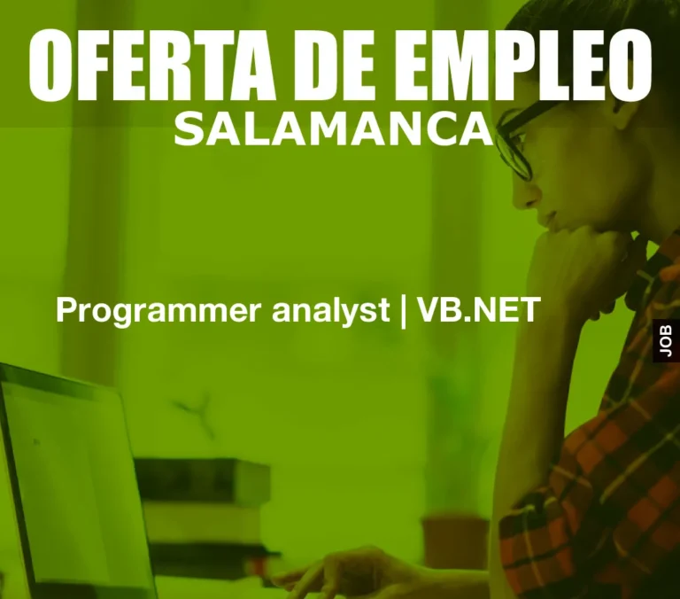 Programmer analyst | VB.NET