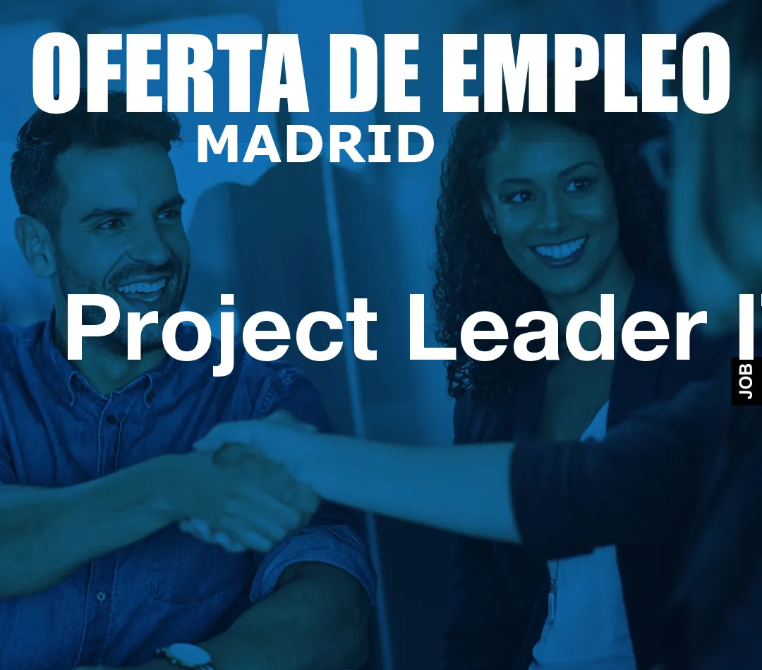Project Leader IT