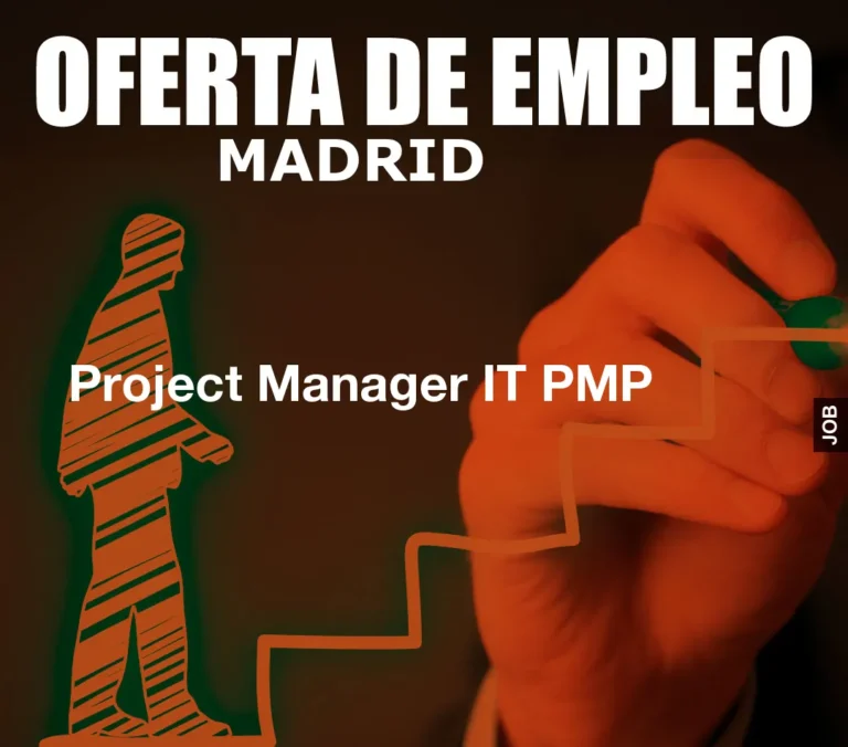 Project Manager IT PMP