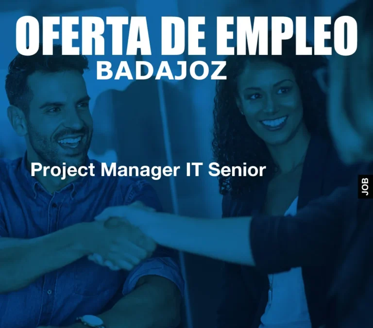 Project Manager IT Senior