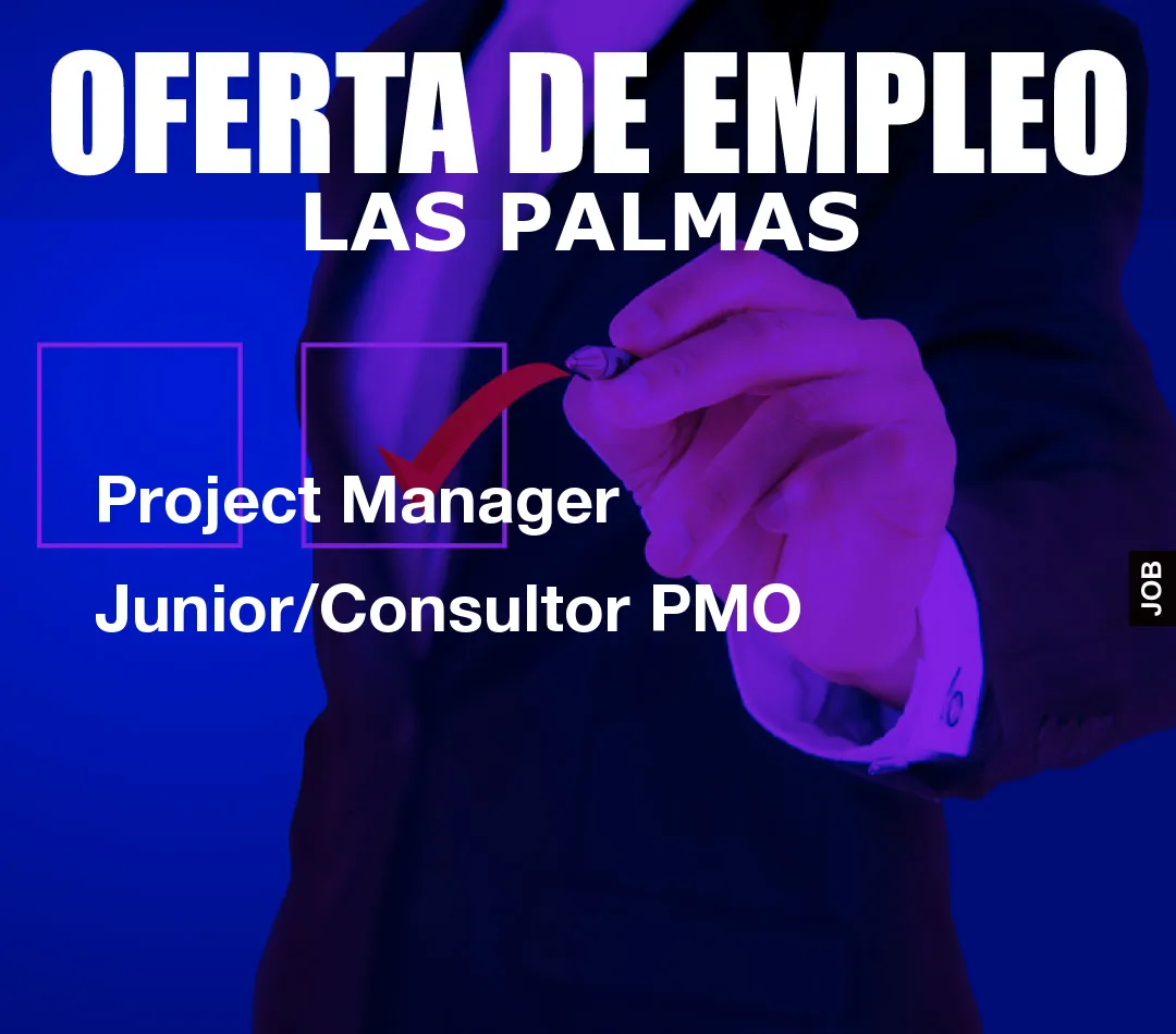 Project Manager Junior/Consultor PMO