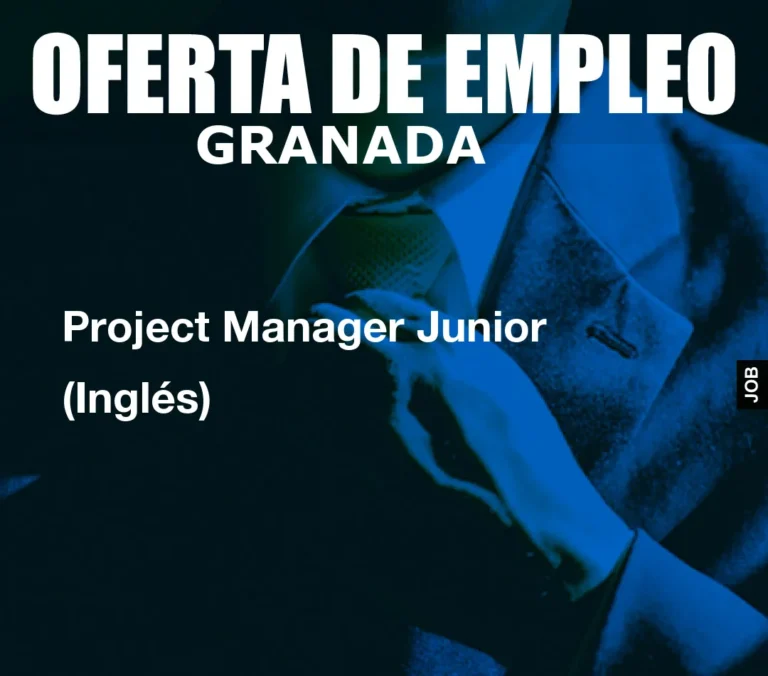Project Manager Junior (Inglés)