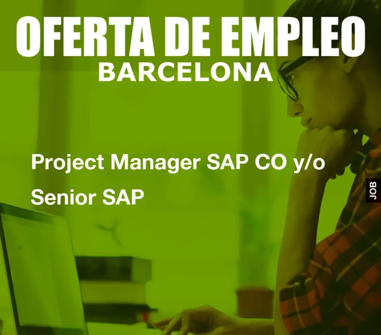 Project Manager SAP CO y/o Senior SAP