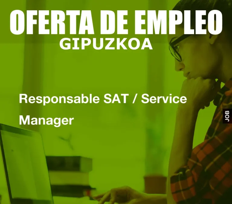 Responsable SAT / Service Manager
