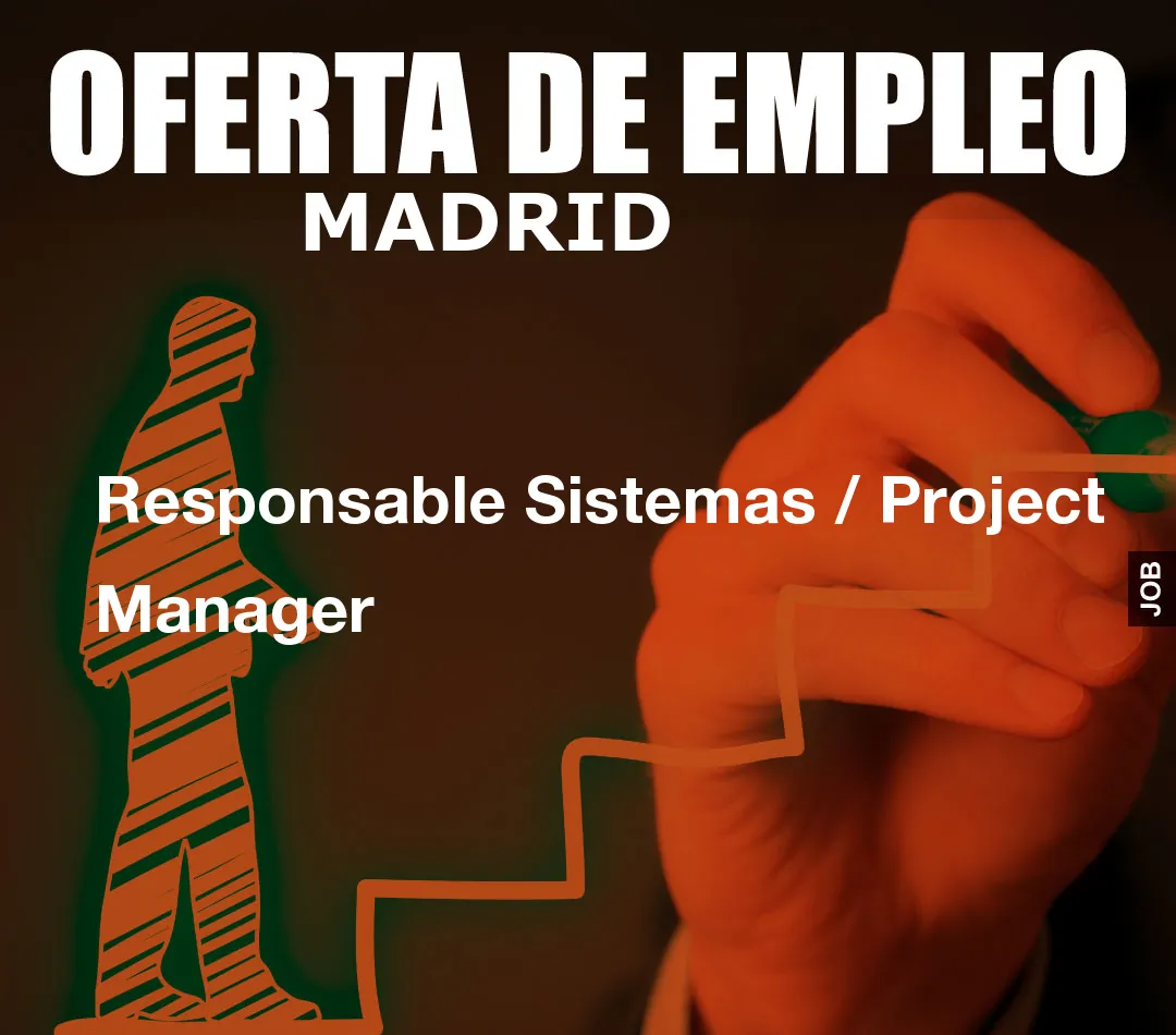 Responsable Sistemas / Project Manager