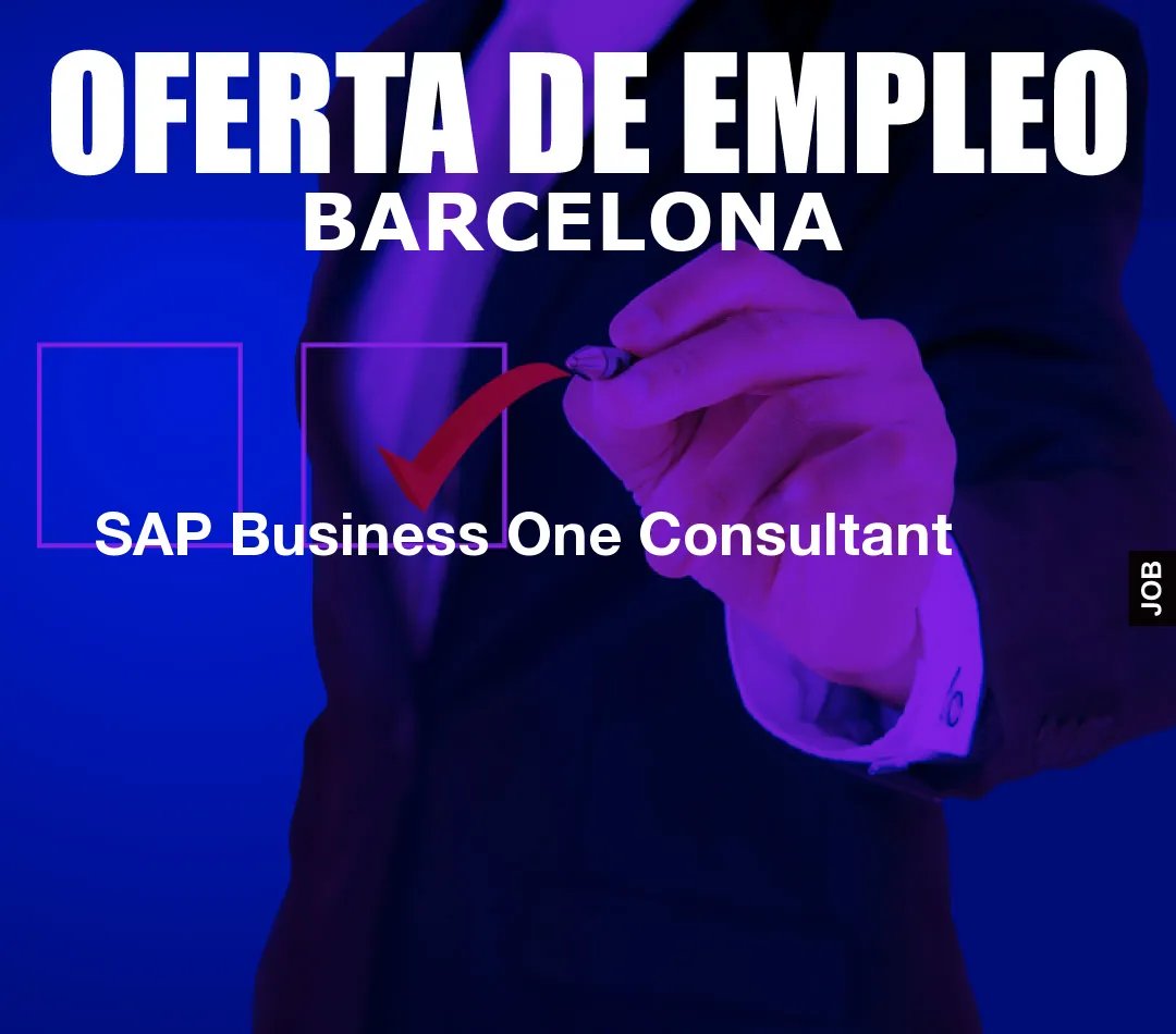 SAP Business One Consultant
