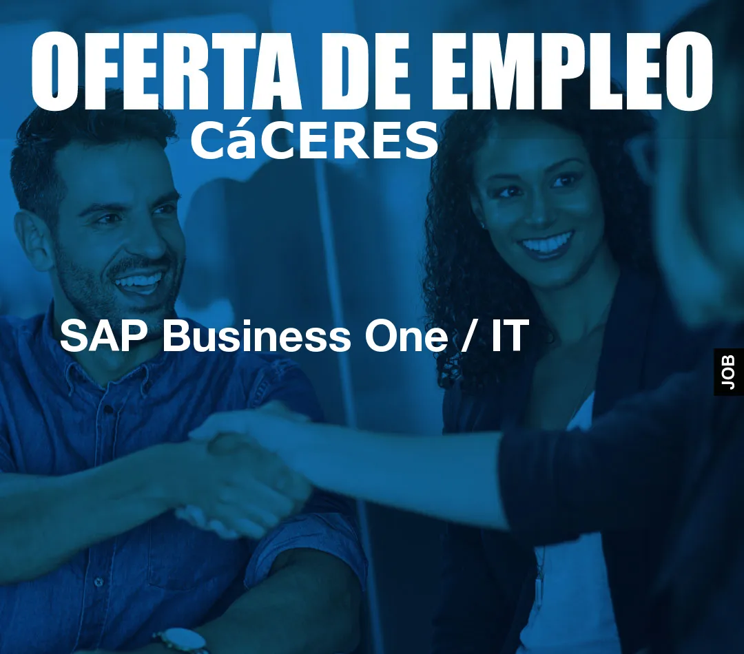 SAP Business One / IT