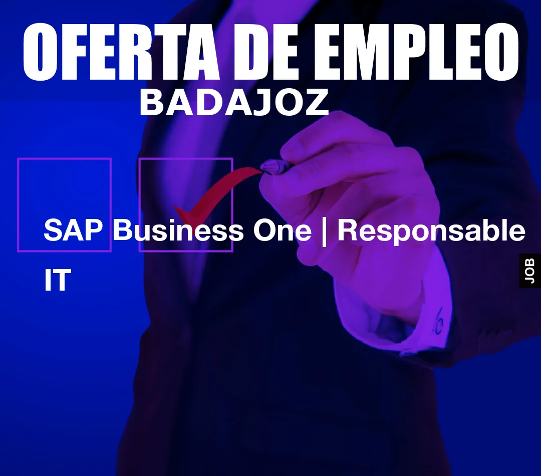 SAP Business One | Responsable IT