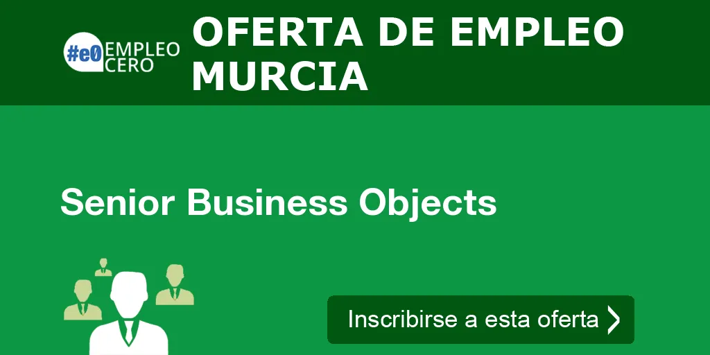 Senior Business Objects