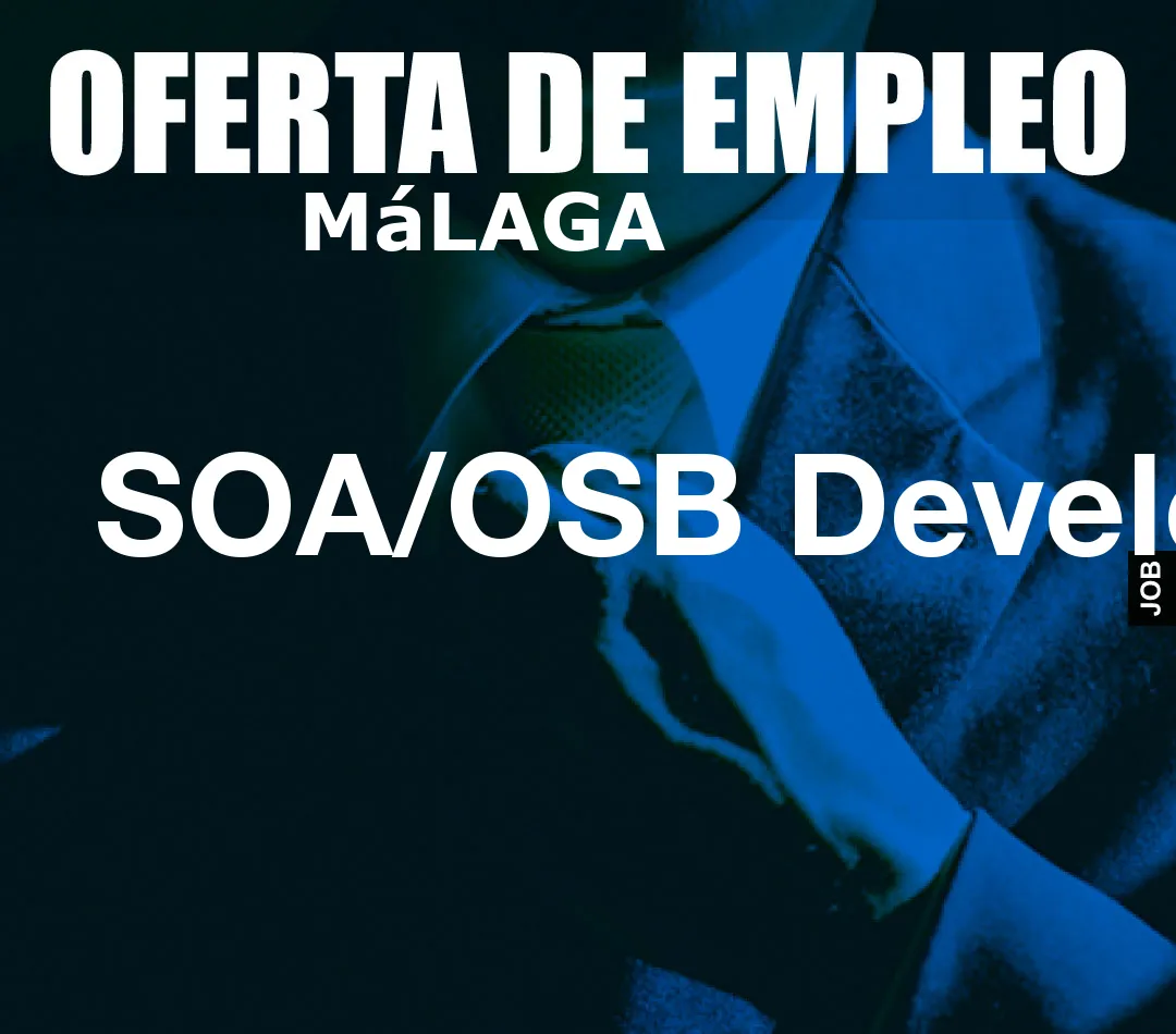 SOA/OSB Developer