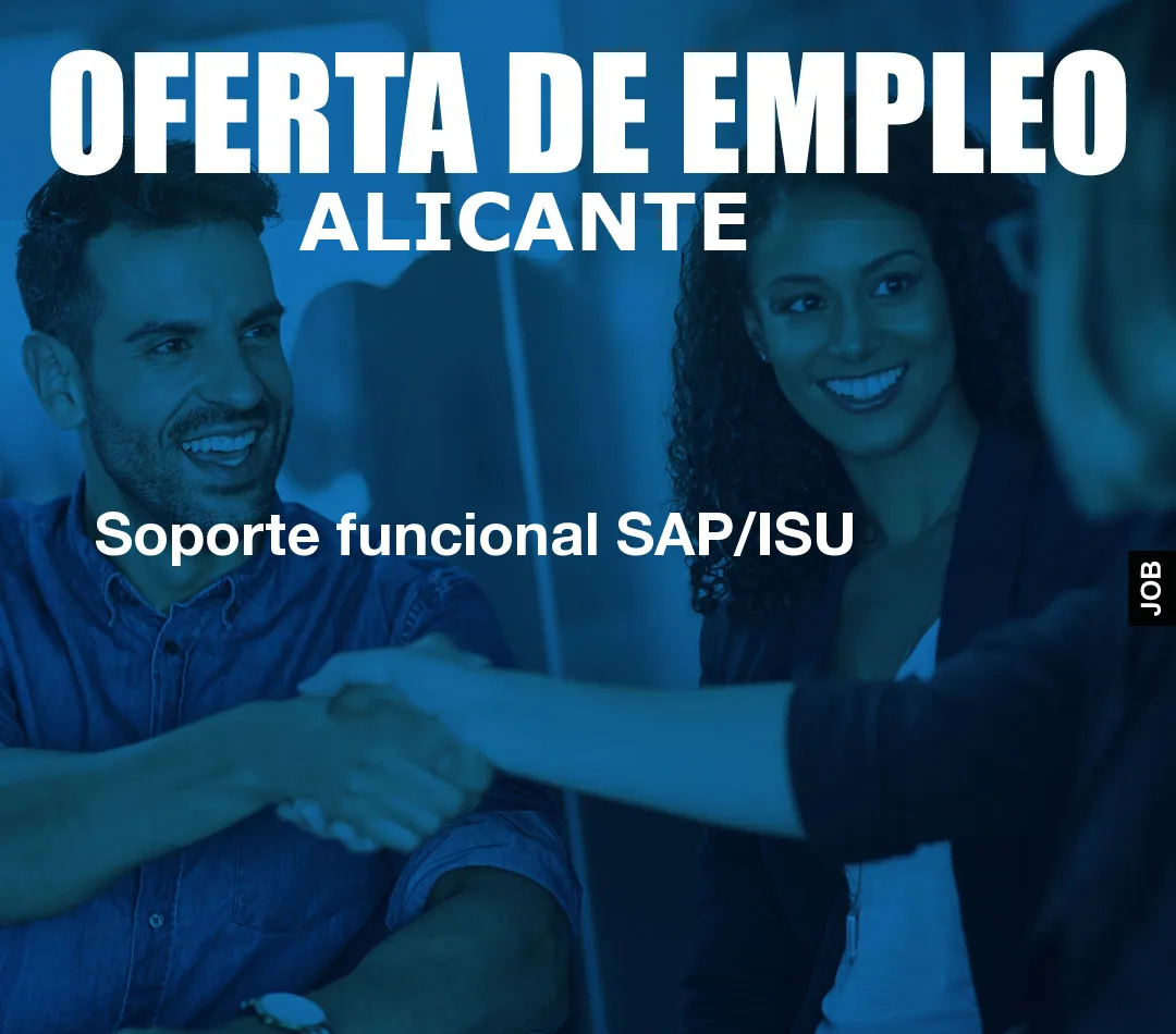 Soporte funcional SAP/ISU