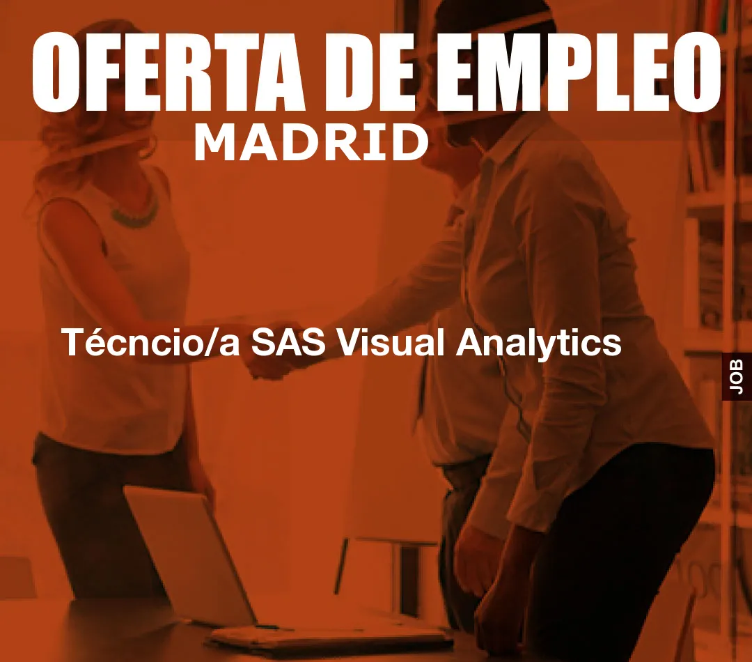 Técncio/a SAS Visual Analytics