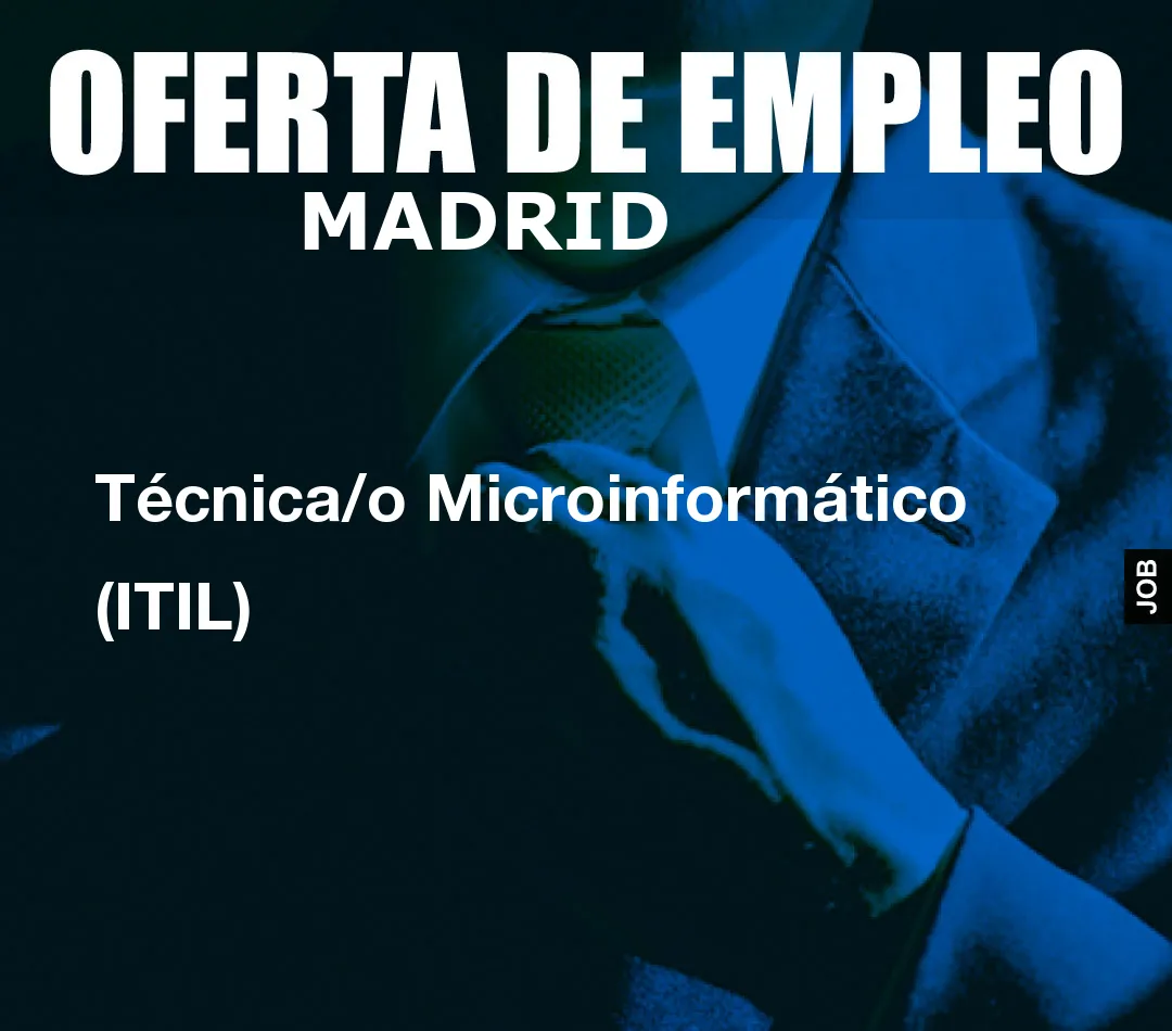 Técnica/o Microinformático (ITIL)
