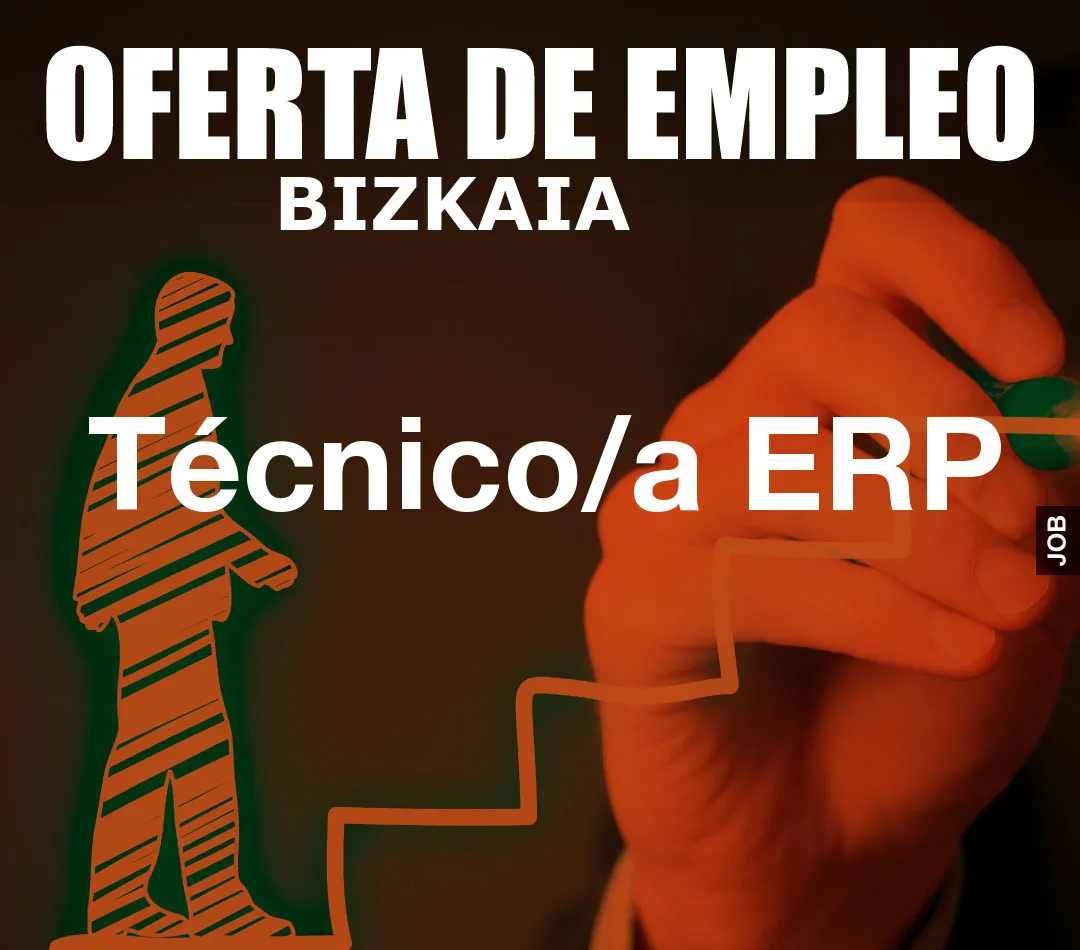 Técnico/a ERP
