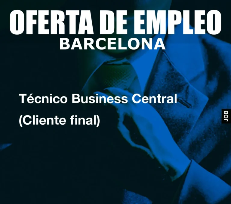 Técnico Business Central (Cliente final)