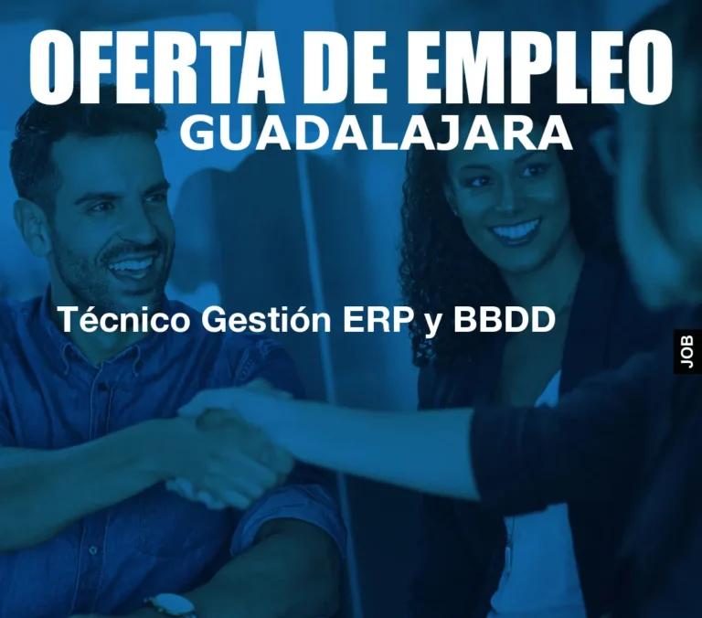 Técnico Gestión ERP y BBDD
