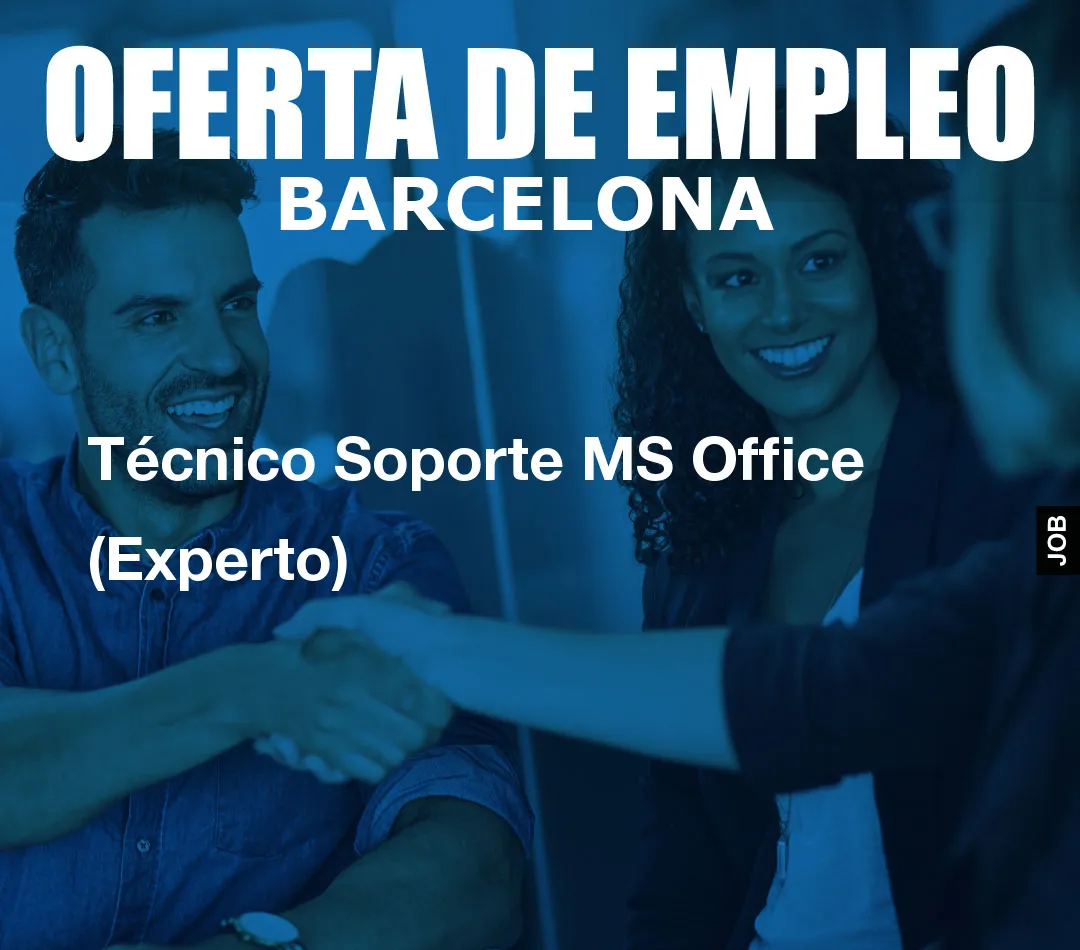 Técnico Soporte MS Office (Experto)