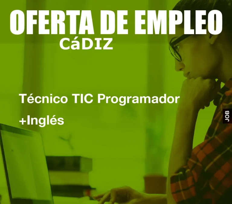 Técnico TIC Programador +Inglés