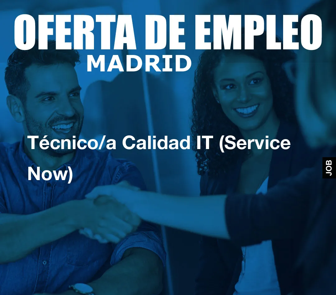 Técnico/a Calidad IT (Service Now)