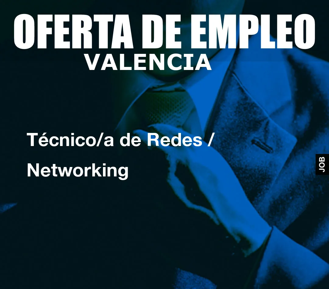 Técnico/a de Redes / Networking