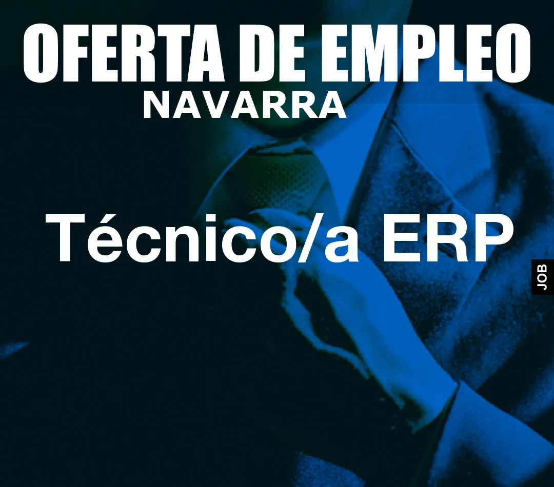 Técnico/a ERP