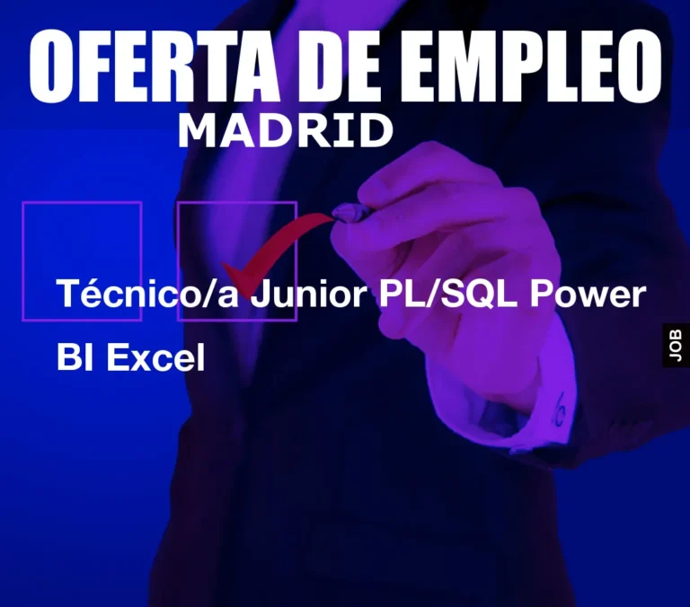 Técnico/a Junior PL/SQL Power BI Excel
