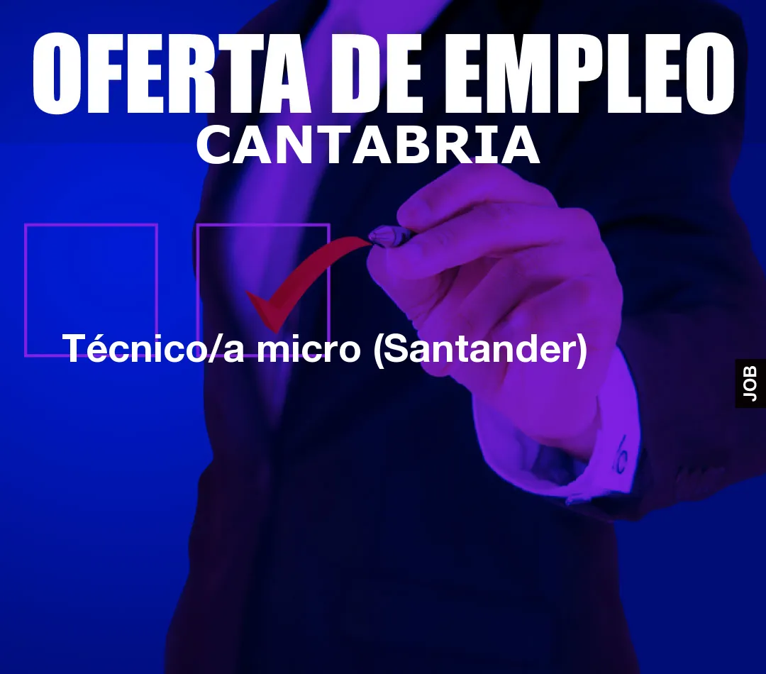 Técnico/a micro (Santander)