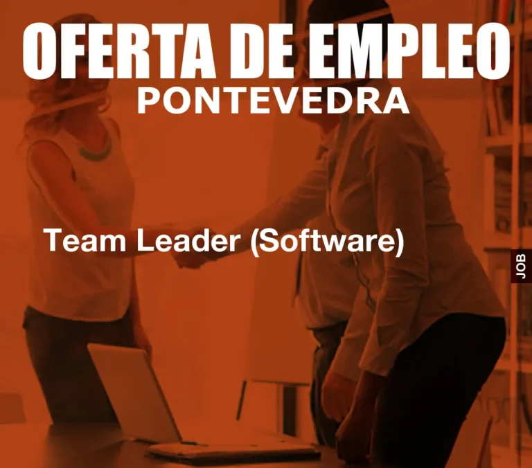 Team Leader (Software)
