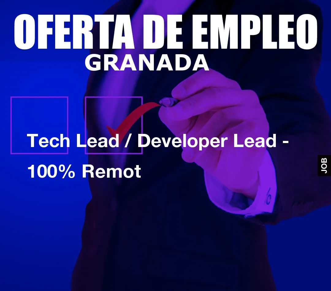 Tech Lead / Developer Lead – 100% Remot