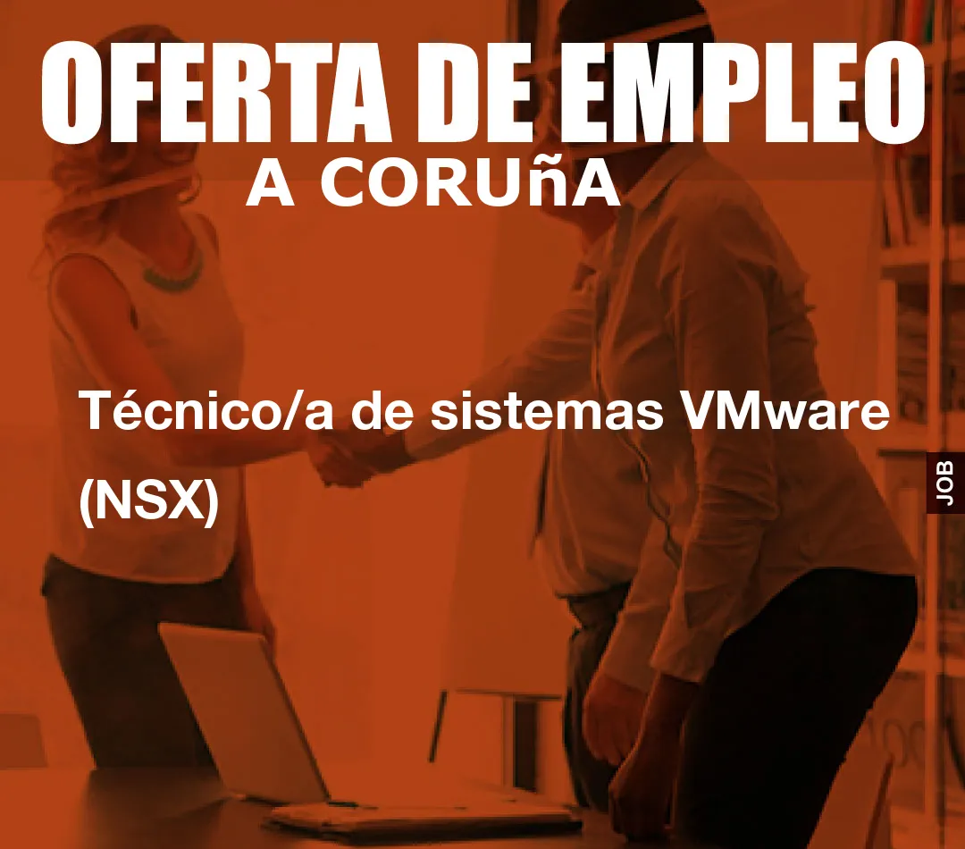 Técnico/a de sistemas VMware (NSX)